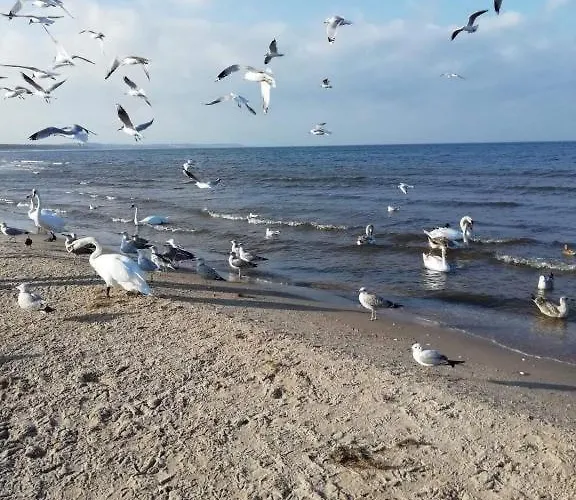 Maritime شقة سفينويتشي